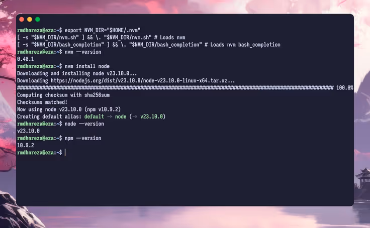 Node & NPM Version