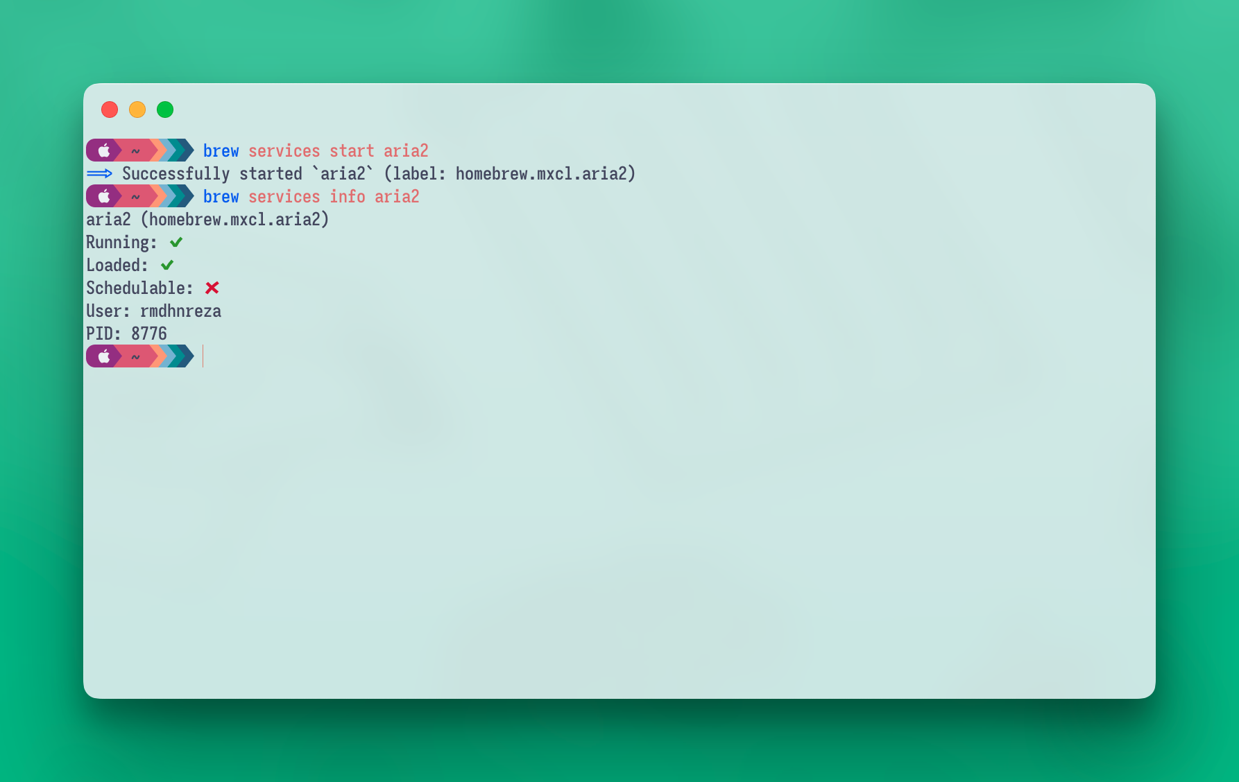 Start aria2 service