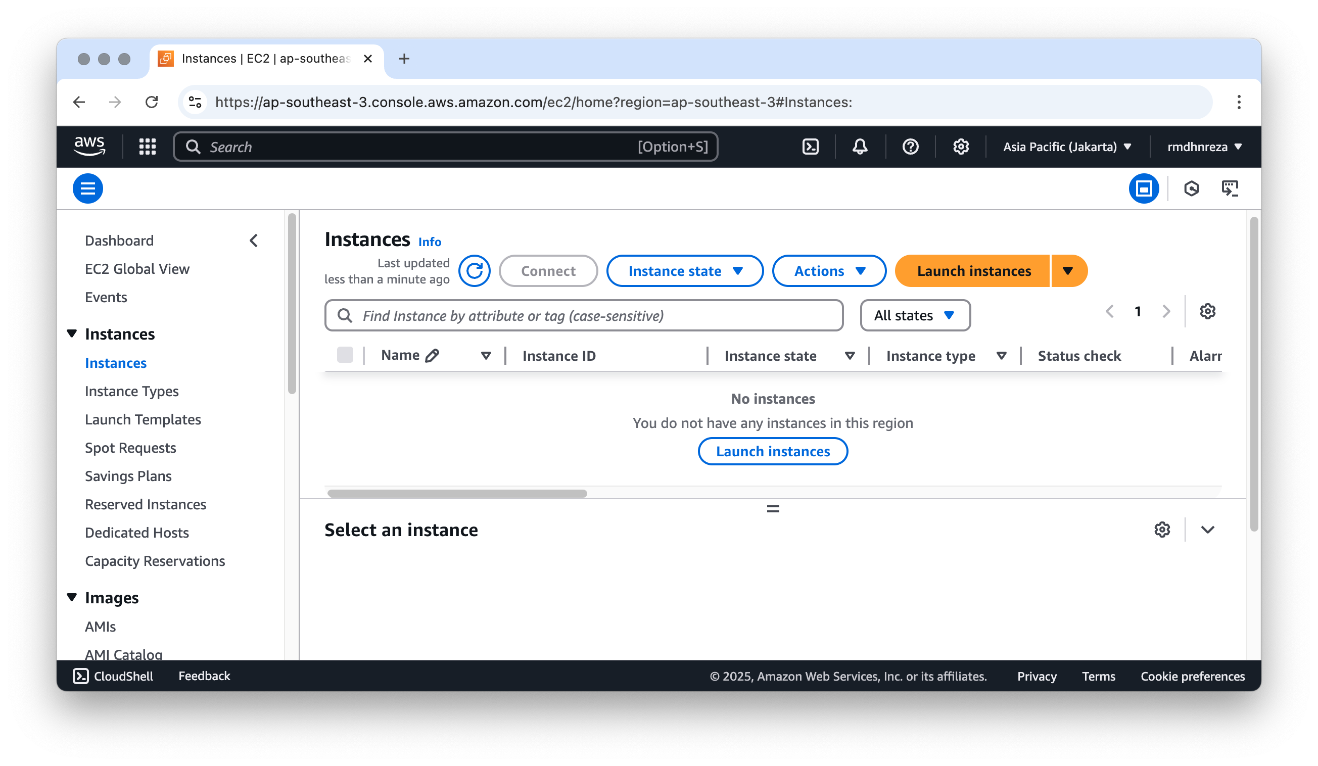 Launch Instances